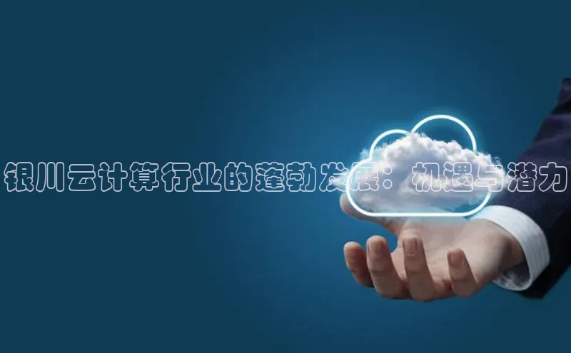 凯捷体育小米银川云计算行业的蓬勃发展：机遇与潜力