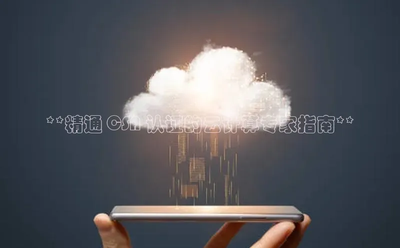 凯捷彩讯股份**精通 CSA 认证的云计算专家指南**