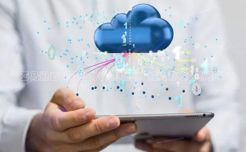 凯捷百度技术学院**亚马逊云计算业务快速增长，成为营收的新引擎**