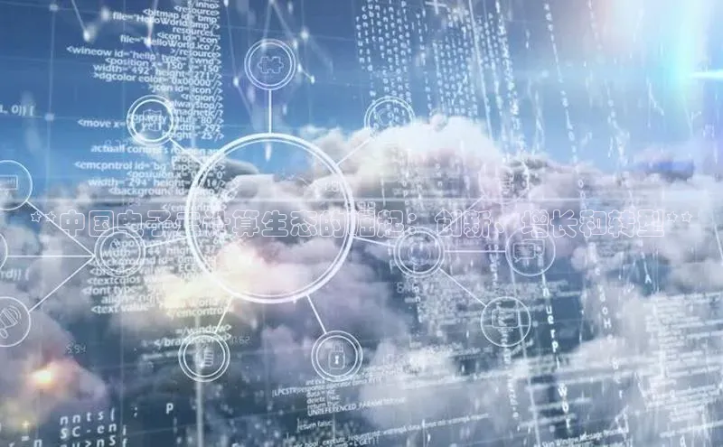 意昂4凯捷体育颐驰 06**中国电子云计算生态的崛起：创新、增长和转型**