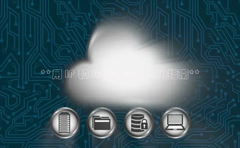 凯捷娱乐一径科技**用 IP 和 IE 云计算：入门指南**