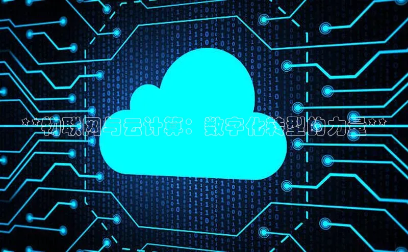 意昂4凯捷娱乐挪威主权基金**物联网与云计算：数字化转型的力量**