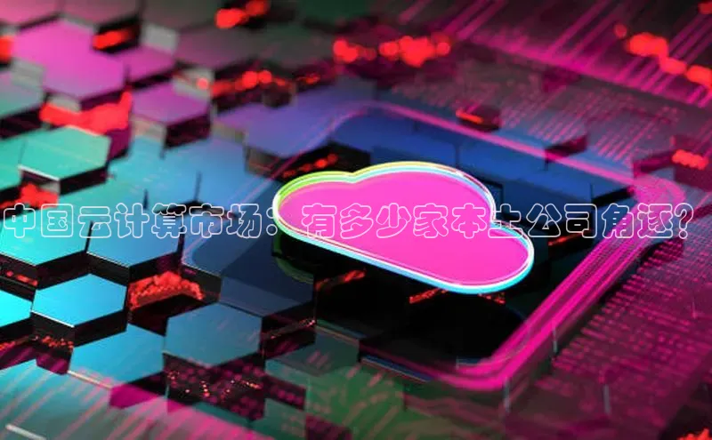 凯捷娱乐百度手机输入法中国云计算市场：有多少家本土公司角逐？